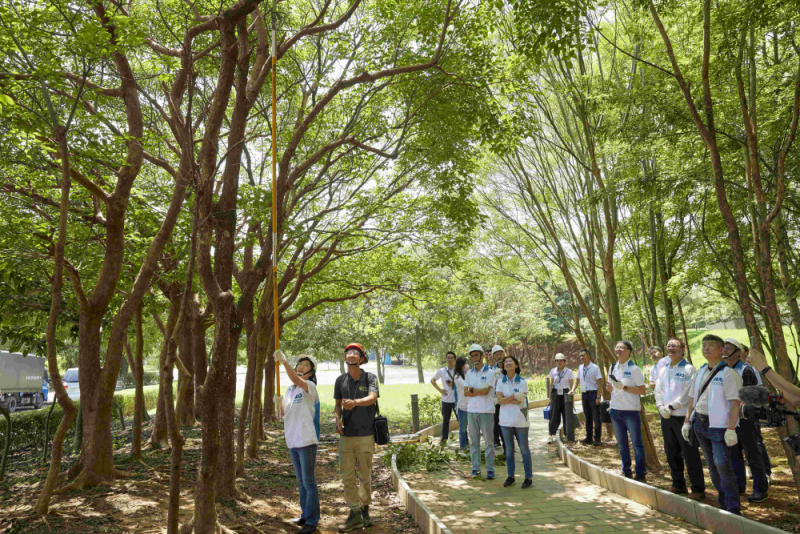 藝師教導大家認識樹木、檢查樹的健康狀況，學習修枝及碎枝覆土